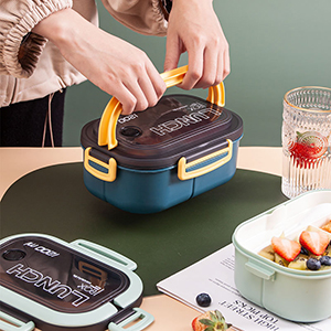 Bento Box Adult