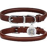 dog collar