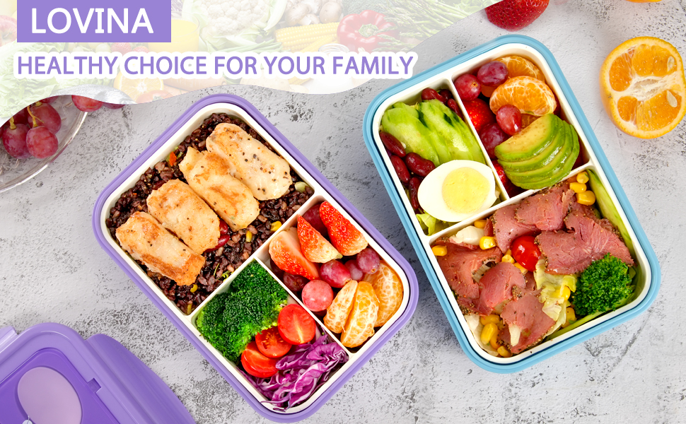 Adult bento box