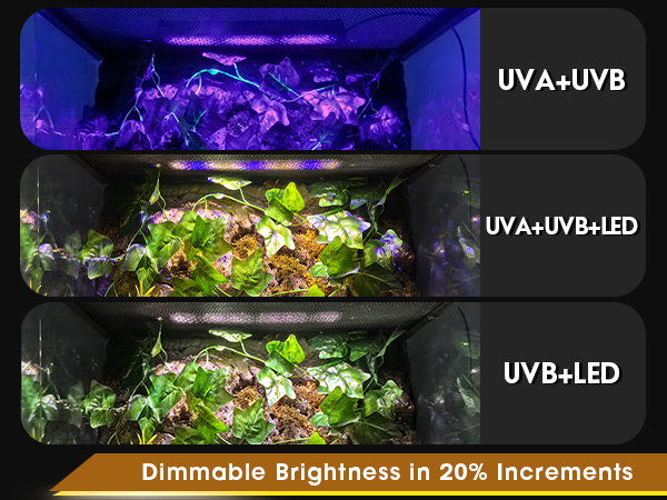 uvb light for turtles