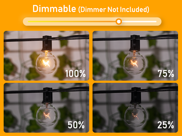g40 string lights