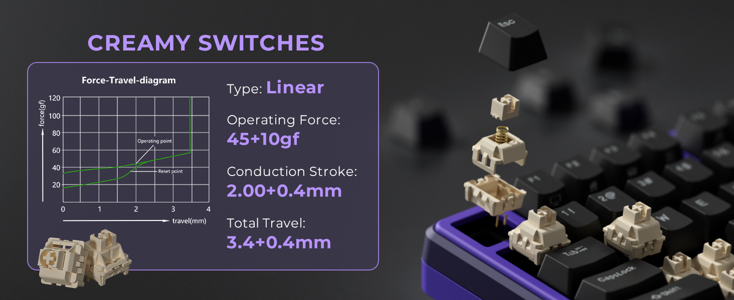 Swtiches