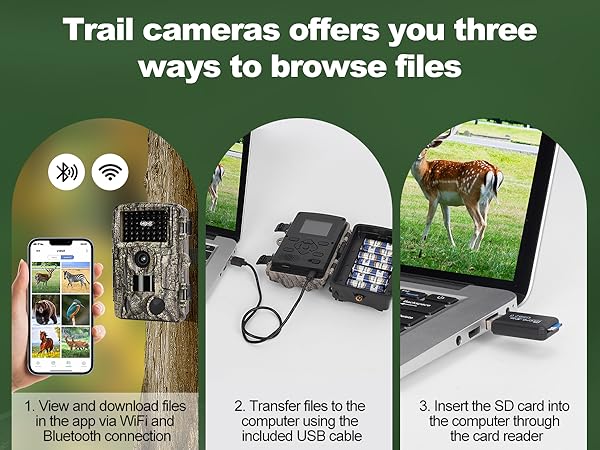 trail camera