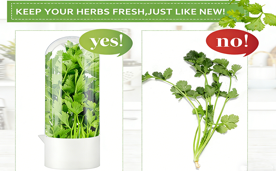 Herb Saver for Refrigerator, Cilantro Container