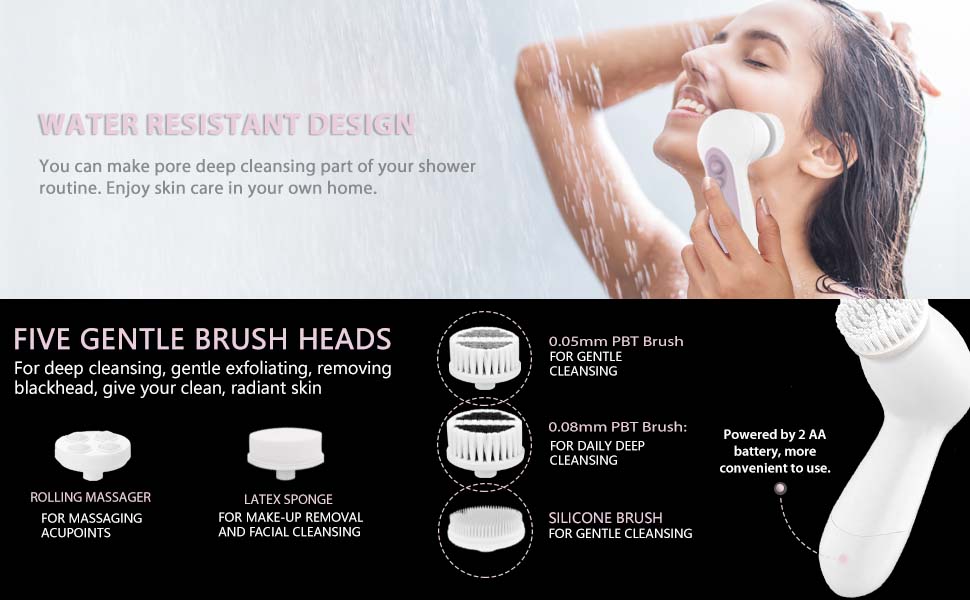 face brush