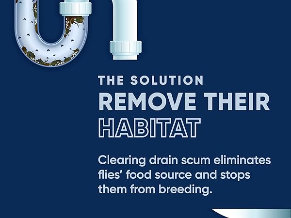 The solution