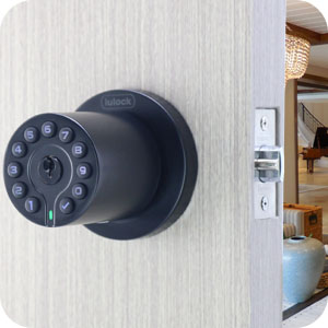 iulock iu-20 black panel
