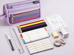 clear grid mesh pencil case