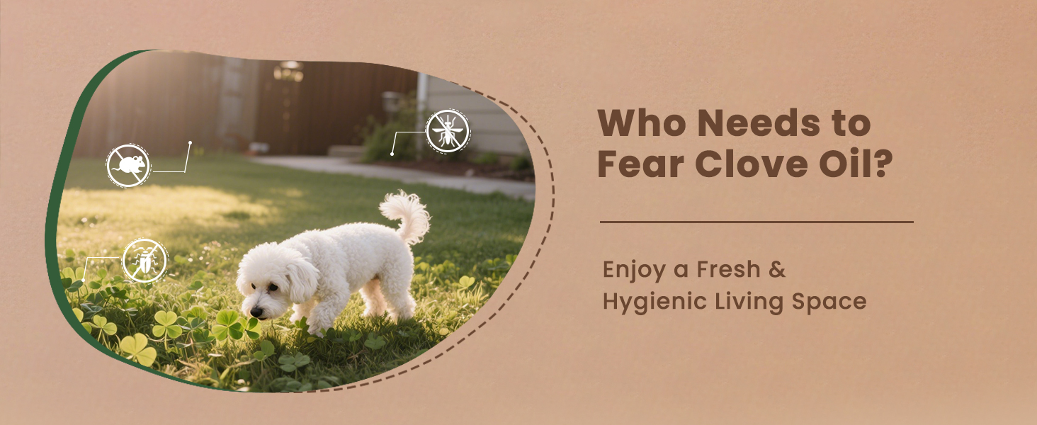 Text reads 'Who Needs to Fear Glove Oil?' Circular vignette images showing pastoral outdoor scenes with text overlay.