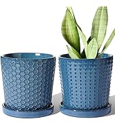 LE TAUCI Plant Pots, 5.5 Inch Pots for Indoor Plants, Planters with Drainage Hole and Saucer for ...