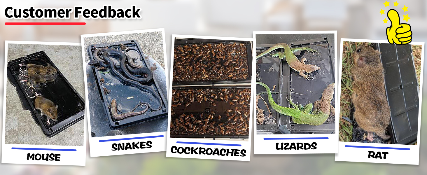 rat traps indoor for home