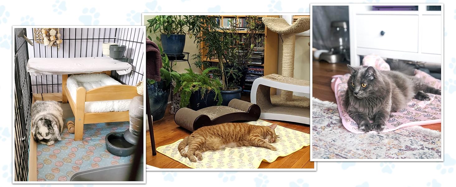 pet coolmat 9