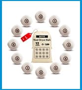 ACTTE Sheep Wool Dryer Balls 12 Pack L