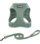 Voyager Step-in Pet Harness - All Weather Mesh, Adjustable Step in Harness for Cats and Dogs by B...
