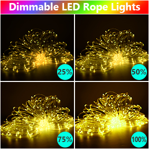 Rope light