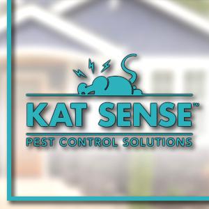 RAT TRAPS FOR THE HOUSE