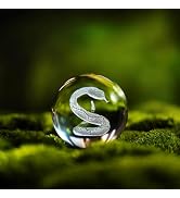 ZEERSHEE 60mm 3D Snake Crystal Ball with Stand The Snake Feng Shui Decor for Home Gift for Snake ...