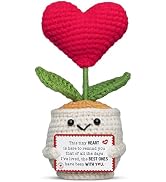 OASSIE Anniversary Couple Gifts for Women Men - Heart Flower Pot Crochet - Romantic Anniversary W...