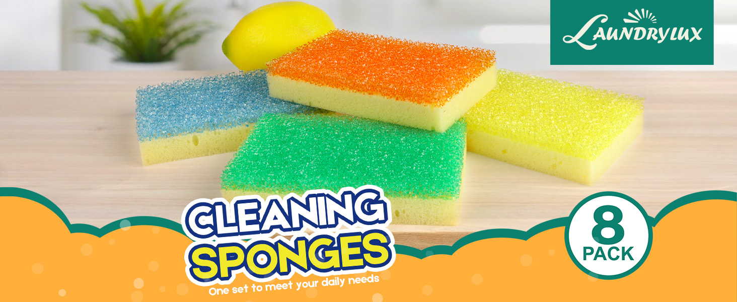 cleaning sponges