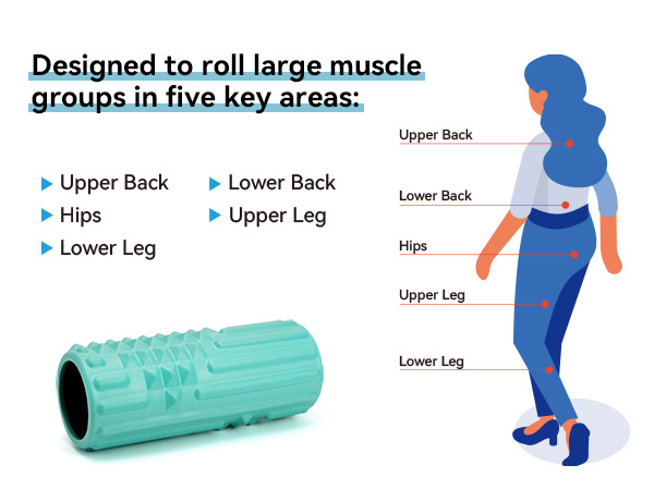 foam roller for back