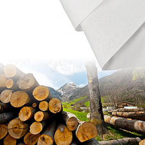 Car Tissue Refills