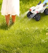 Remote Control Car with Bubble Guns