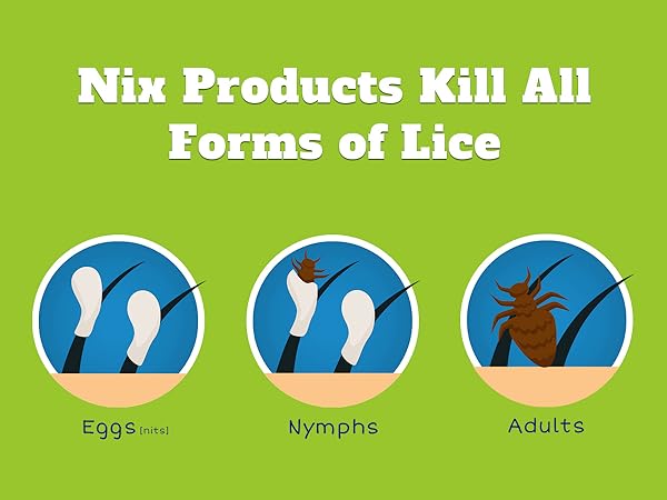 Nix shampoo effectively treats and kills all forms of lice, from eggs, kits, pupa, and adults.