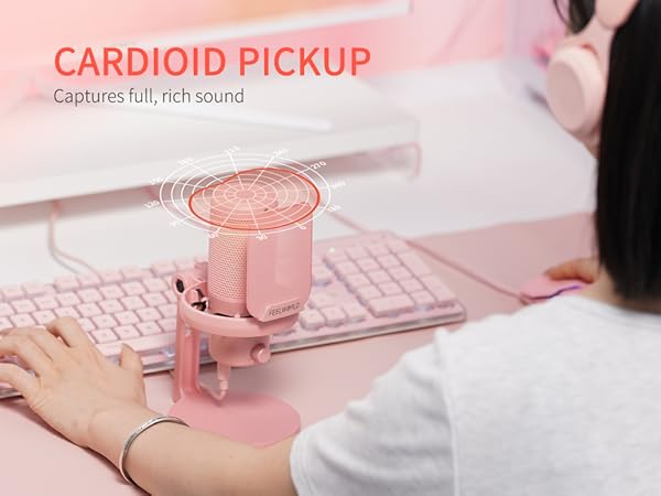 Cardioid Pickup