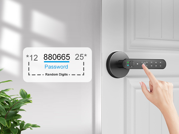 Fingerprint Door Handle