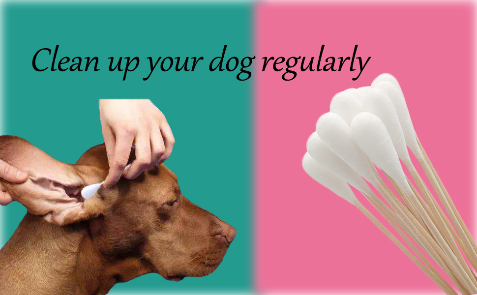 pet cotton swabs