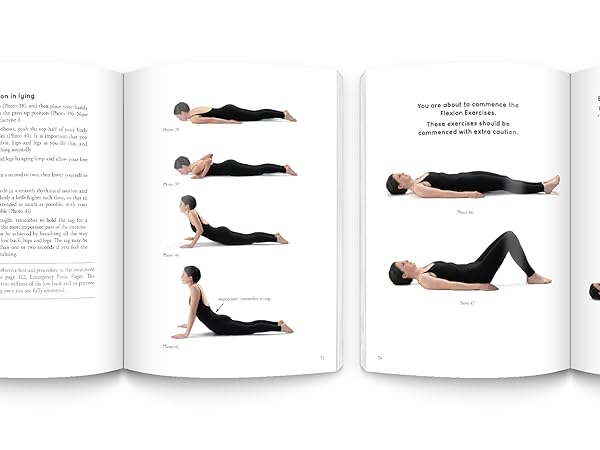 treat your own back book with two page spreads