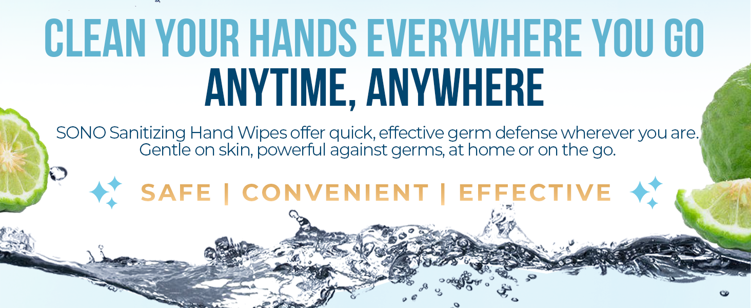 hand wipes sanitizing antibacterial travel size norovirus disinfecting handwipes portable sanitiser