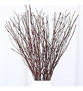 40Pcs Real Dried Birch Twigs - 17
