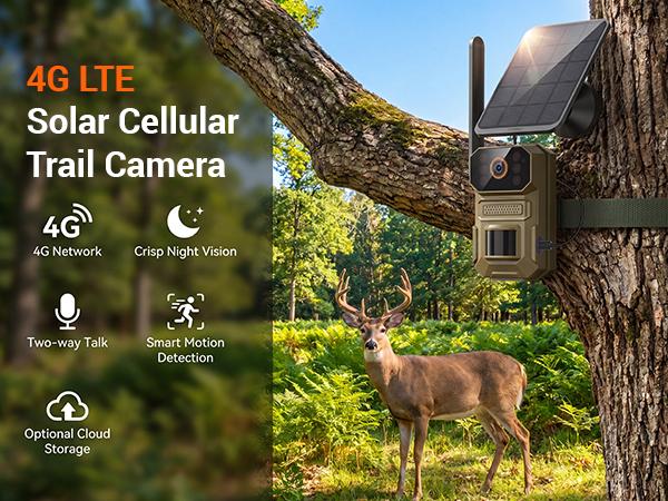 Trail camera