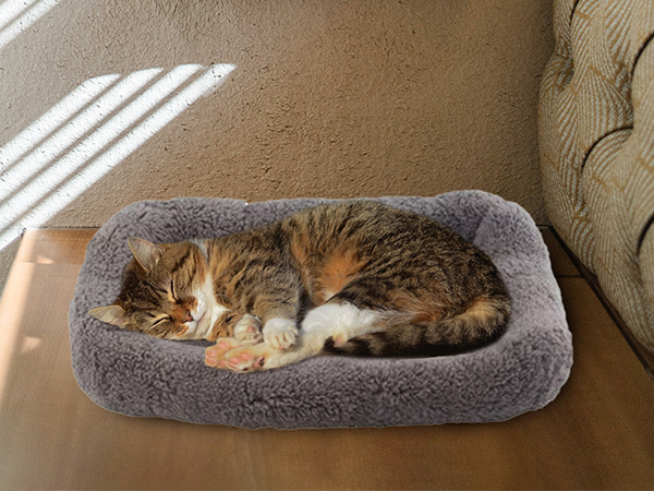 cat bed