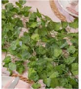 CQURE 12 Pack 84Ft Artificial Ivy Garland, Fake Vines UV Resistant Greenery Leaves Fake Plants Ha...