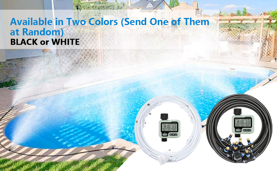 Black or White
