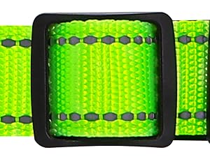 MYIWB Dog Collar Adjustable Buckle, Custom Fit for All Breeds, Heavy-Duty Nylon