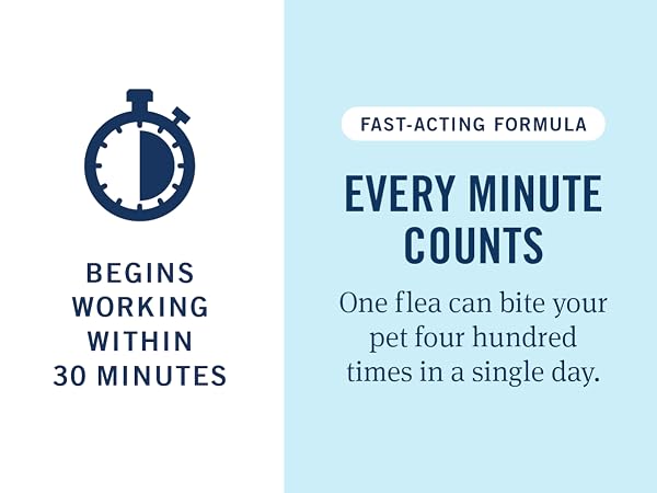 fast acting formula fleas
