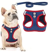 PUPTECK Dog Harness and Leash Set for Small Medium Dogs No Pull Step-in Soft Mesh Puppy Cat Vest ...
