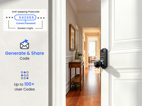 keyless entry door lock