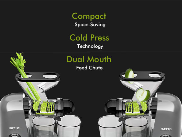 Gray aluminum compact cold press juicer with dual mouth chute for whole apples and celery.