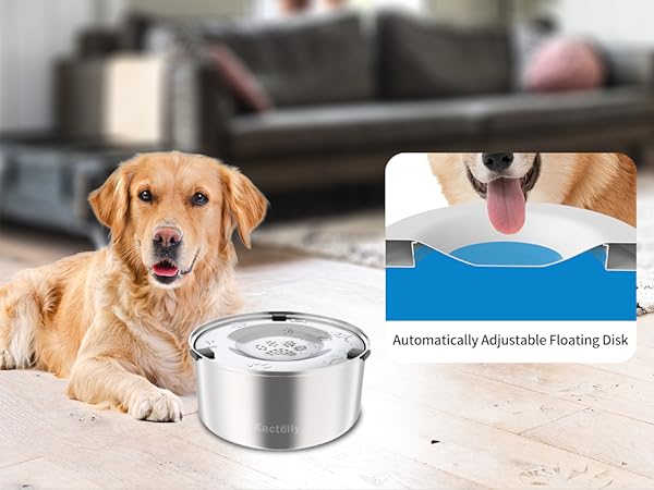 dog water bowl dispenser