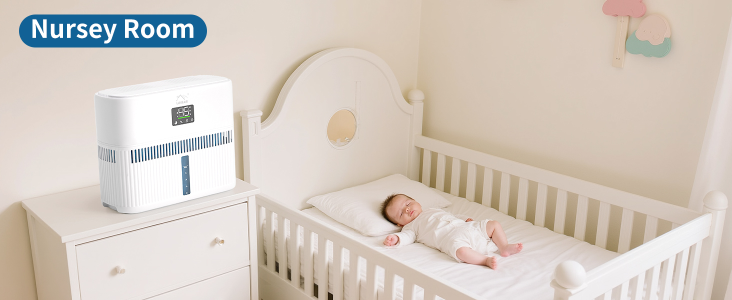 Evaporative Humidifier