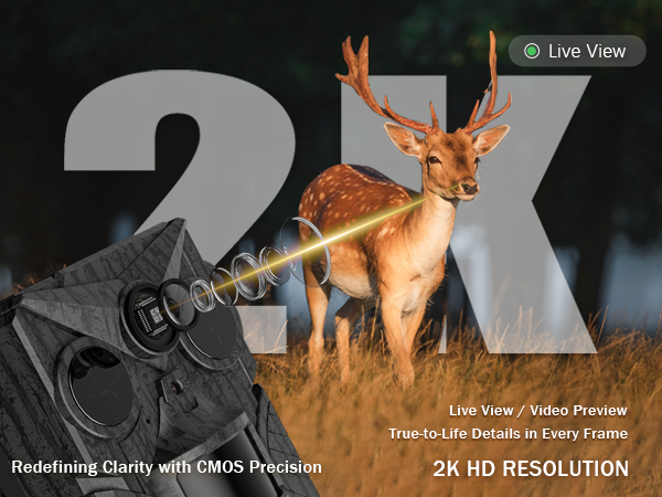 game camera cellular