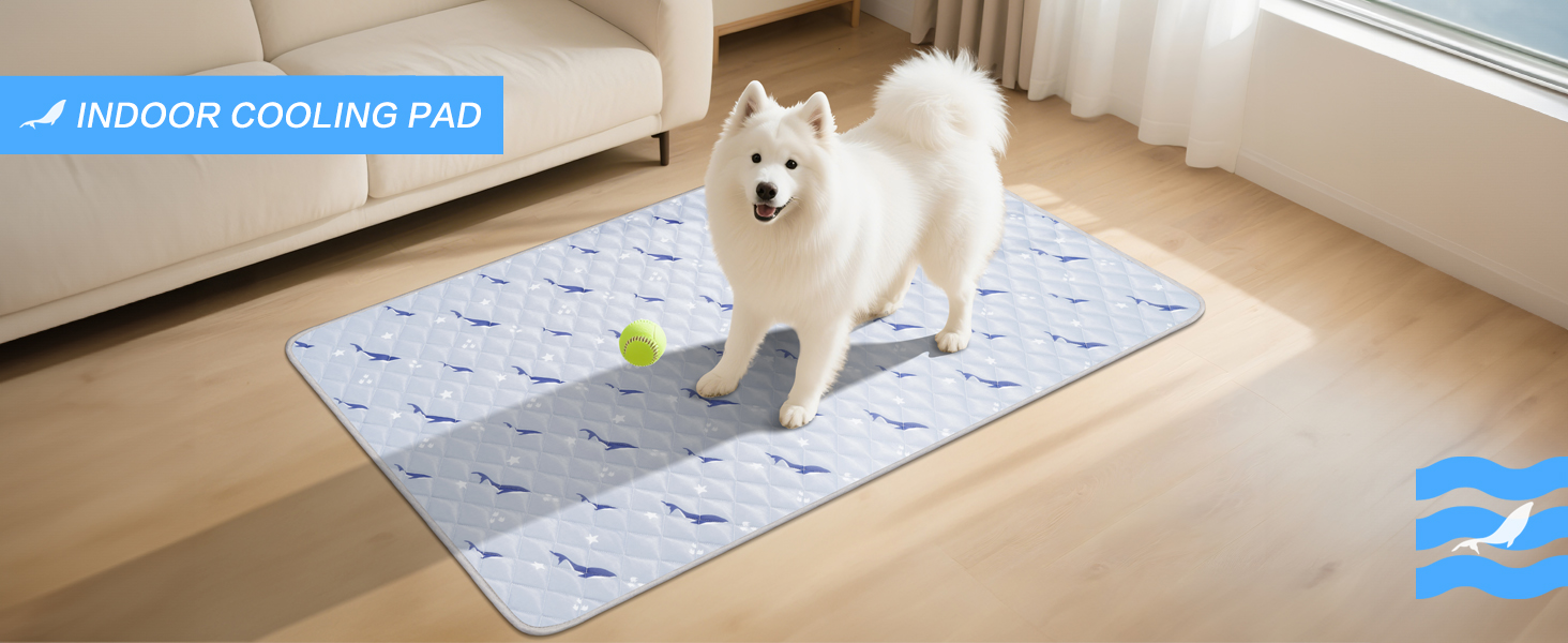 cooling dog bed
