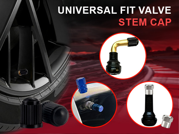 tire plug repair kit car