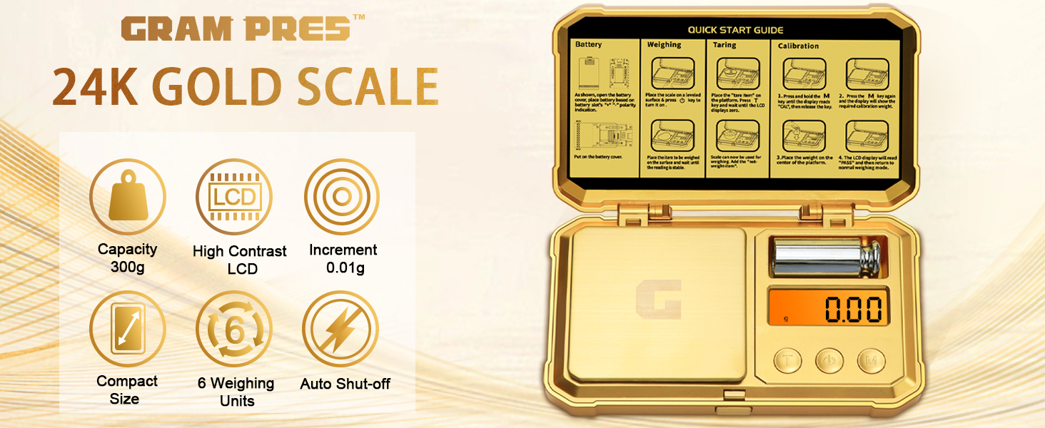 Digital Pocket Punk Scale