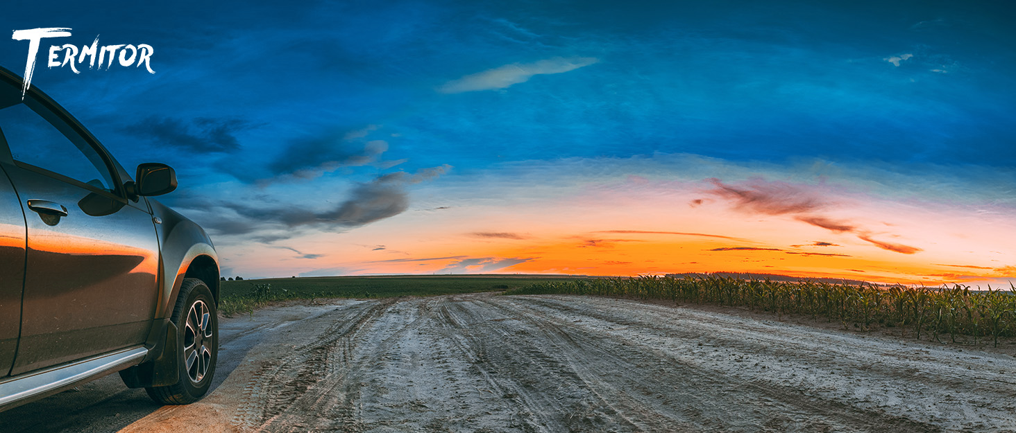 Termitor portable tire inflator