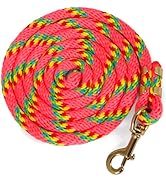 Jeffers Equine Nylon Horse Lead Rope, 5/8" x 8', Pink - Heavy Duty, Durable Nylon Rope with Bolt ...